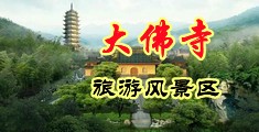 在线操骚穴中国浙江-新昌大佛寺旅游风景区